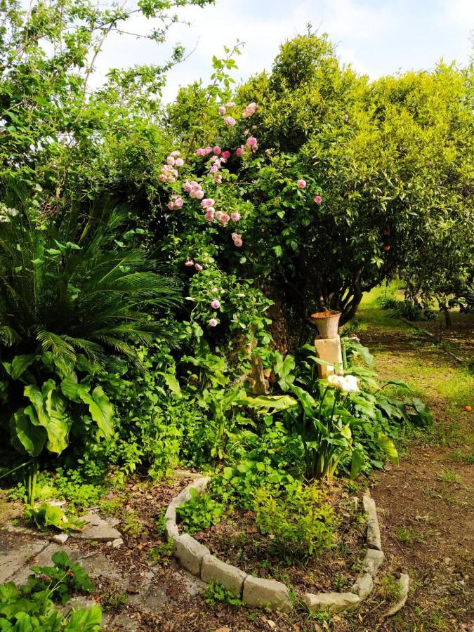 Bed and Breakfast Aricelle Speziali Specchia Gallone Esterno foto