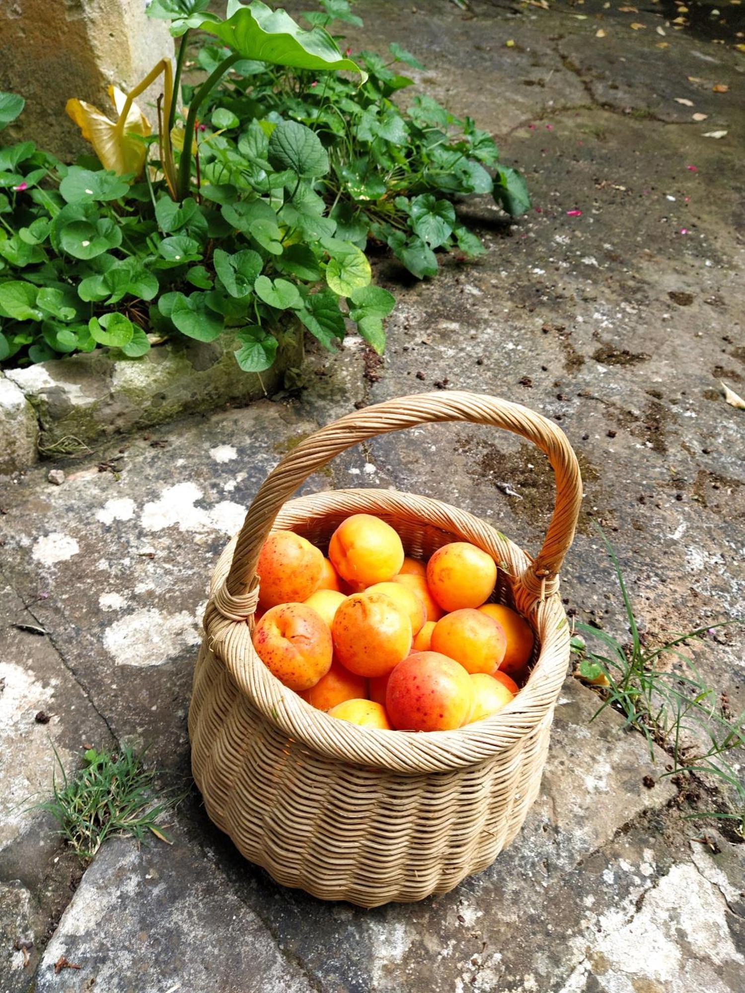 Bed and Breakfast Aricelle Speziali Specchia Gallone Esterno foto